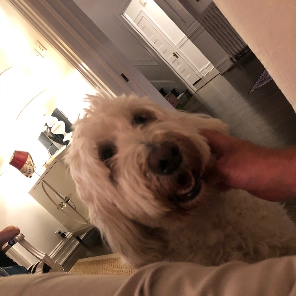 Meet your Posher, Jodi